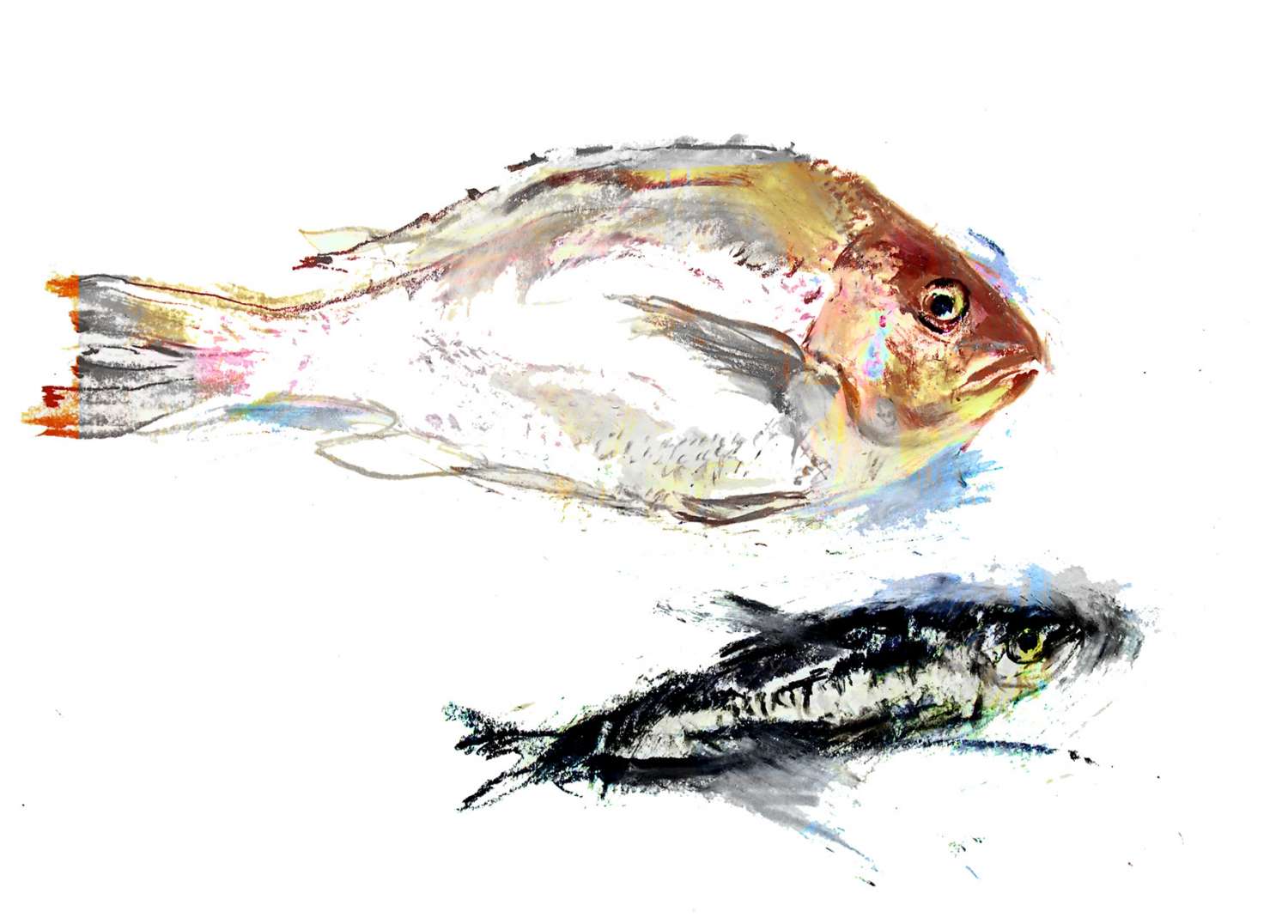 fischzweier