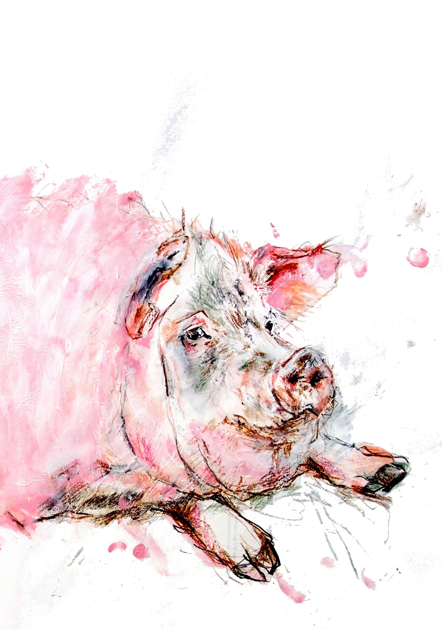 schweinhaben