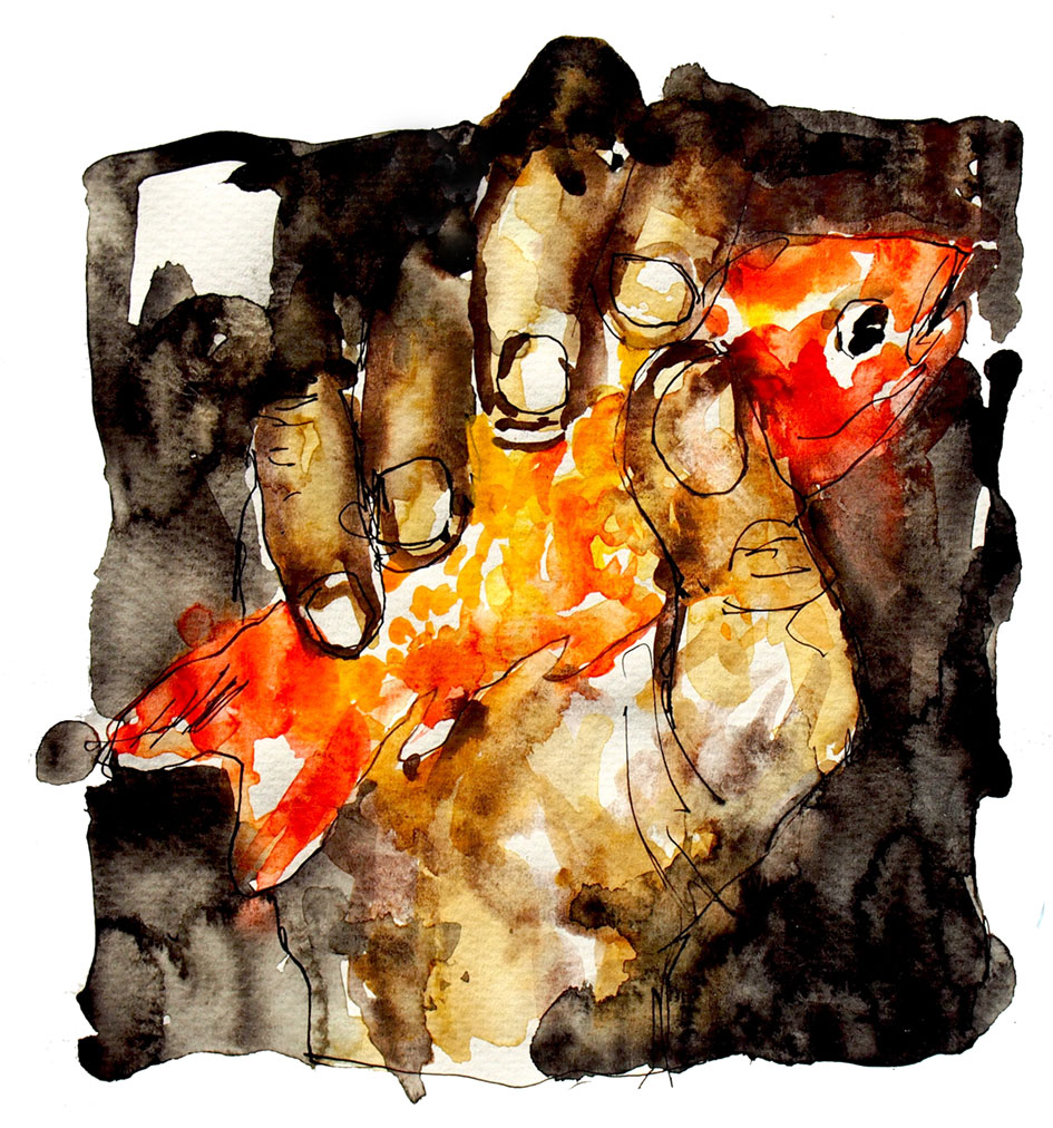 fischgold2